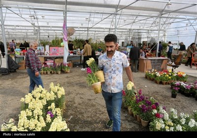 بازار گل و گیاه اصفهان در آستانه نوروز