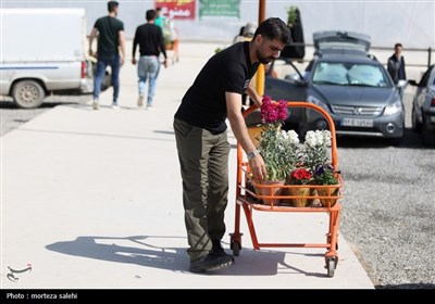 بازار گل و گیاه اصفهان در آستانه نوروز