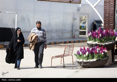 بازار گل و گیاه اصفهان در آستانه نوروز
