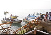 کمپ غواصی در سواحل استان بوشهر جانمایی شود