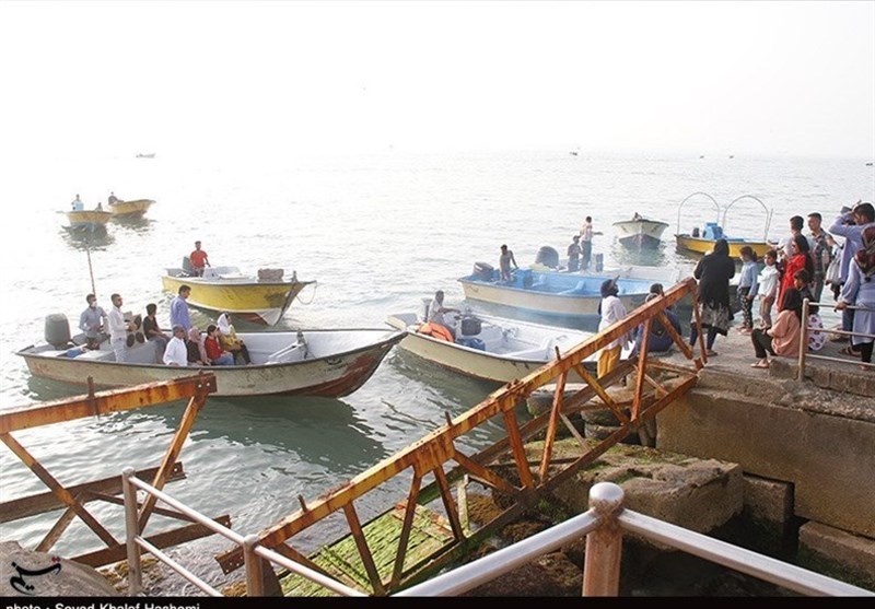 کمپ غواصی در سواحل استان بوشهر جانمایی شود