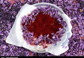 نام تجاری زعفران خراسان رضوی ثبت جهانی میشود/صادرات 214 تن زعفران به 71 کشور دنیا