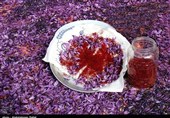 Iran’s Annual Saffron Export Hits 200 Tons: NSC