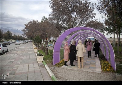 مهمانان نوروزی در کرمانشاه