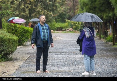 بارش باران بهاری در باغ ارم شیراز