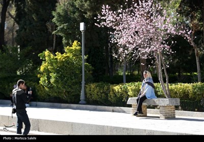 مسافران نوروزی در عمارت چهل ستون - اصفهان