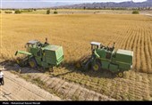 واریز 8.2 هزار میلیارد تومان به حساب گندمکاران گلستانی