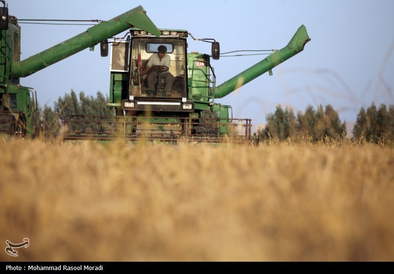 انتقال 2000 تن گندم به کارخانجات آردسازی فارس