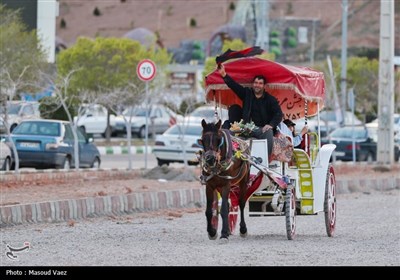 حضور گردشگران نوروزی در ارس