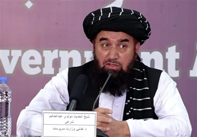 حقوقي،طالبان،قضايي،مجمع،حكومت،هيئت