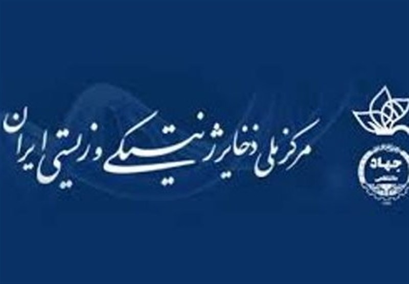 سرپرست مرکز ملی ذخایر ژنتیکی و زیستی ایران منصوب شد