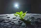 ماموریت آرتمیس 3 ناسا برای پرورش گیاه روی کره ماه