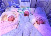 تولد نوزادان سه قلو در تایباد خراسان رضوی