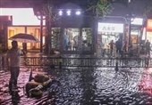 Storms with Typhoon-Like Winds Ravage South China, Killing 7