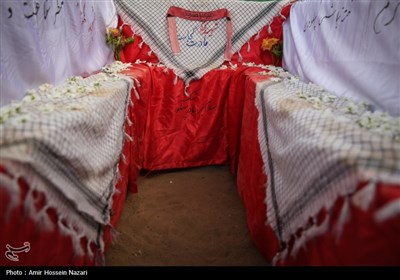 هویت 7 شهید گمنام مدفون در فارس مشخص شد
