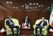 Iran, Turkey Agree on Cross-Border Electricity Trade