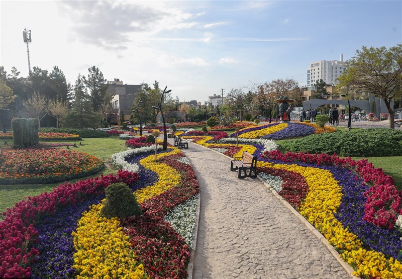 کاشت 100 هزار بوته گل لاله در جشنواره گل‌های مشهد+عکس