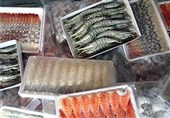 Iran Exports $310 Million of Fishery Products in One Year: IRICA