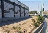 قطع درختان در اجرای پروژه زیرگذر میدان سپاه تکذیب شد