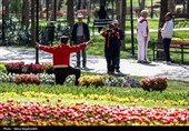 جشنواره گل های لاله- مشهد