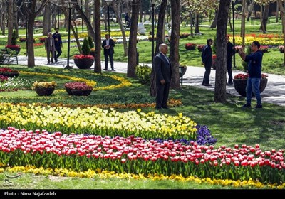جشنواره گل های لاله- مشهد