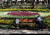 جشنواره گل های لاله- مشهد