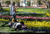 جشنواره گل های لاله- مشهد