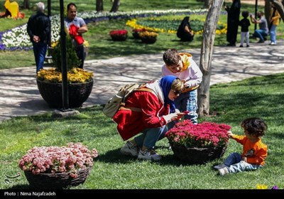 جشنواره گل های لاله- مشهد