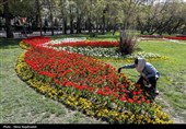 جشنواره گل های لاله- مشهد