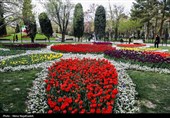 جشنواره گل های لاله- مشهد