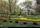 جشنواره گل های لاله- مشهد
