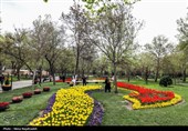 جشنواره گل های لاله- مشهد