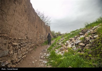 بهار در کوچه باغات سراب قنبر- کرمانشاه