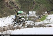 بارش برف بهاری در اشکورات رحیم آباد گیلان