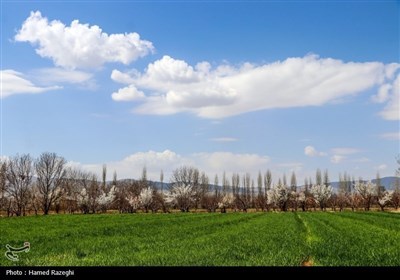 Весенняя природа Ирана - Абхар