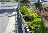 اجرای طرح شناسایی باغچه‌های‌آلوده حاشیه معابر مرکز شهر