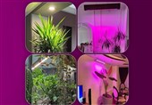 جایگزینی نورهای مصنوعی رشد گیاه به جای نور خورشید
