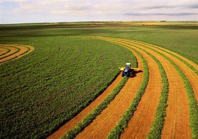 تشکیل زنجیره “سبز” برای تصمیم‌گیری در بخش کشاورزی