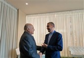 Iran Admires Algeria for Tabling Resolution on Palestine’s UN Membership