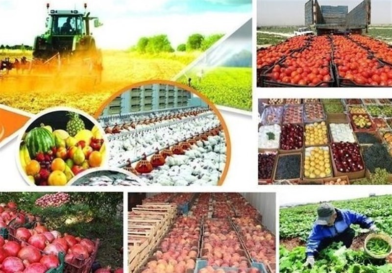 Iran’s Export of Food, Agricultural Products Up 20% in One Year