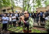 دو سالانه سرنا نوازی - لرستان
