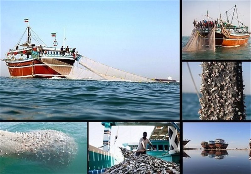 بانک ذخایر دریایی ایران افتتاح شد