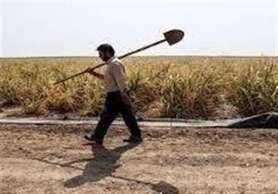 كشاورزي،آبياري،باغداران،كشاورزان،شهرستان،چرام،جهاد،مديركل،مش ...