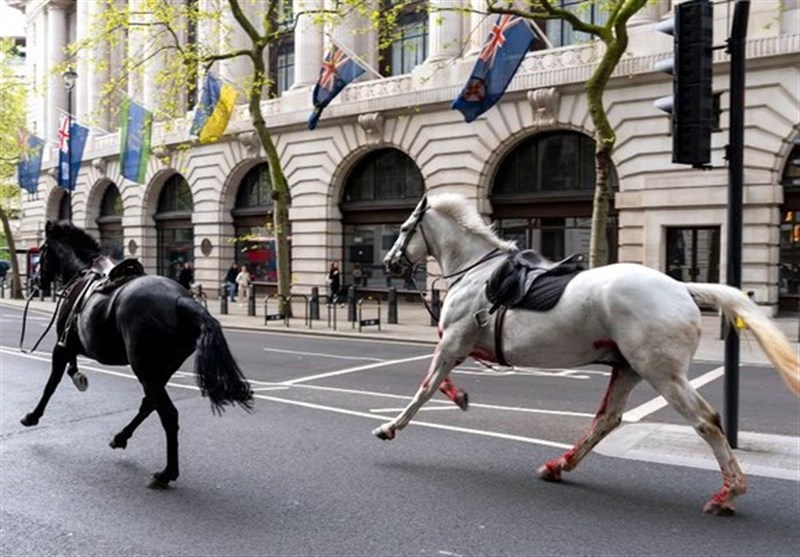 Four Injured As Escaped Army Horses Bolt through Central London