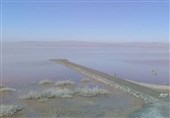 تالاب کجی نمکزار نهبندان 30 درصد آبگیری شد