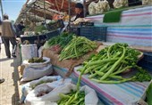 برخورد با برداشت غیرمجاز گیاهان دارویی در لرستان