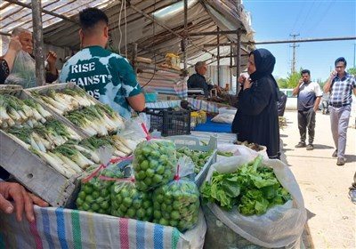 بازار داغ گیاهان دارویی در کرمانشاه+ تصویر