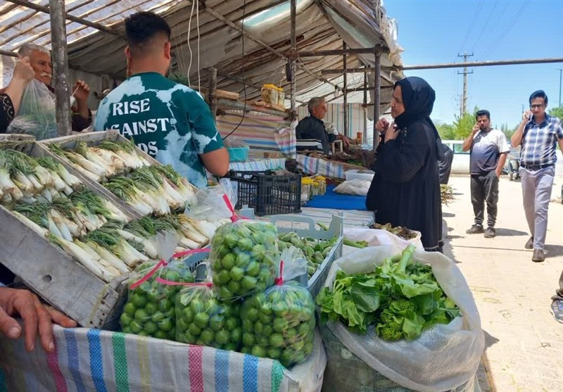 بازار داغ گیاهان دارویی در کرمانشاه+ تصویر