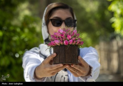 به مناسبت 8 اردیبهشت روز میمند خواستگاه گل محمدی - فارس