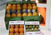 Over 125,000 Tons of Kiwi, Citrus Fruits Exported from Iran’s Mazandaran